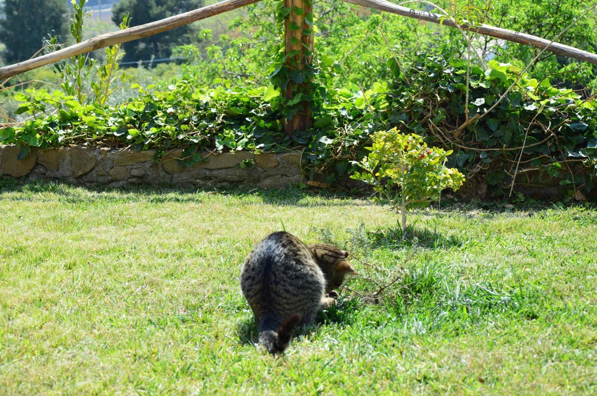 Antico Borgo Etneo Country Hotel Calatabiano Ngoại thất bức ảnh