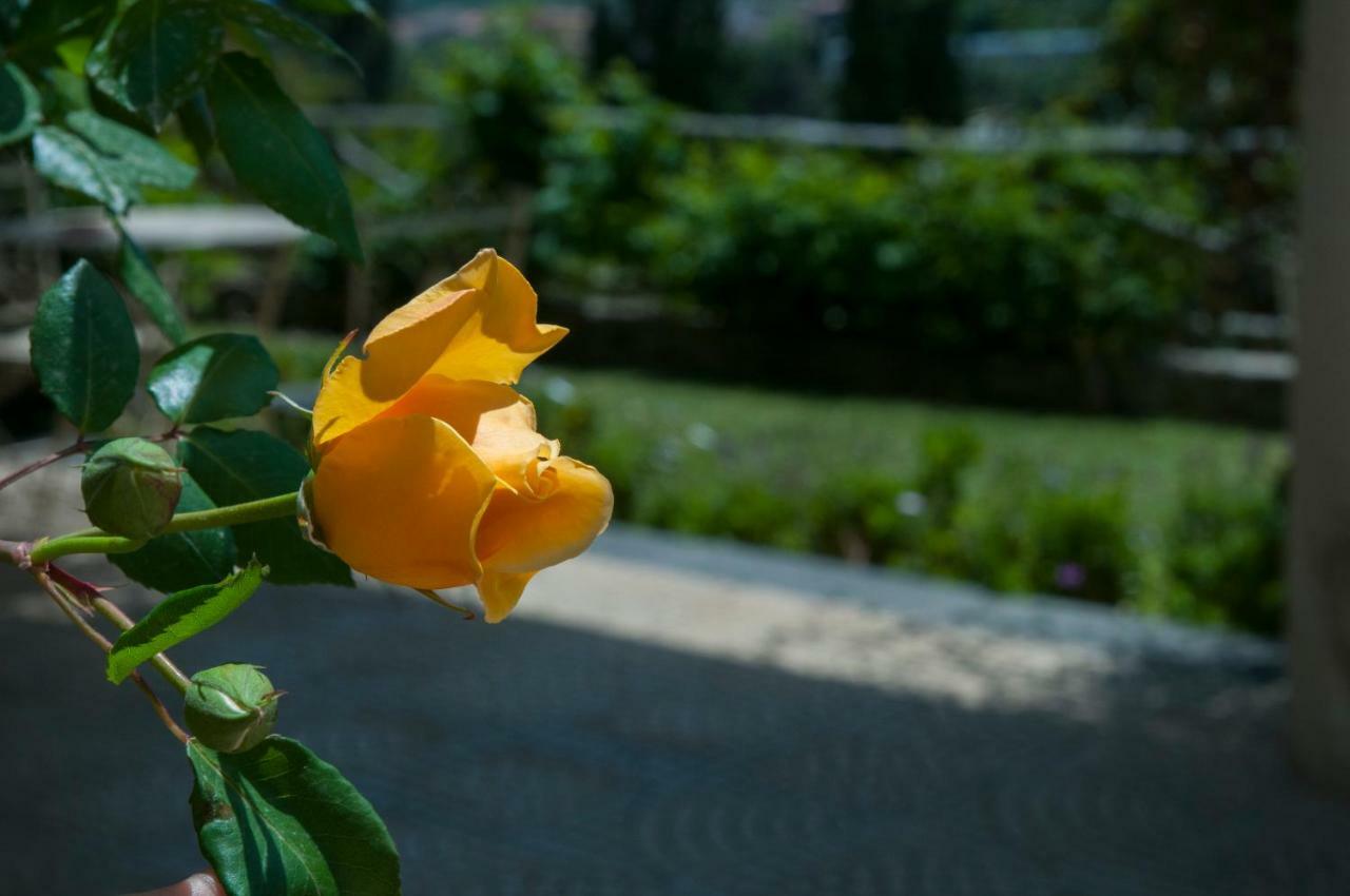Antico Borgo Etneo Country Hotel Calatabiano Ngoại thất bức ảnh